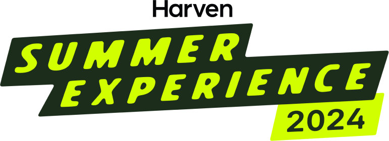 Logo Summer Experience